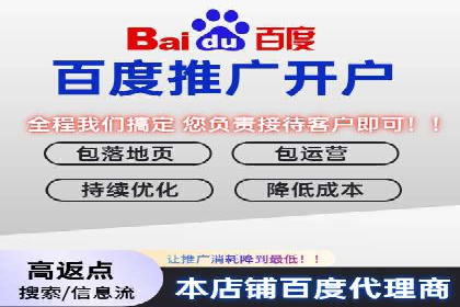 百度竞价代理的预算管理与效果评估案例
